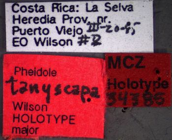 Media type: image;   Entomology 34385 Aspect: labels